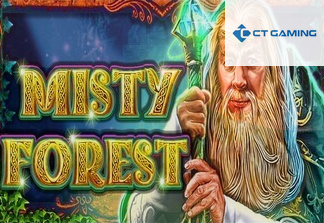 Misty Forest